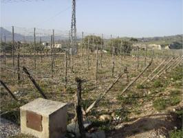 Terreno Agrícola en venta photo 0