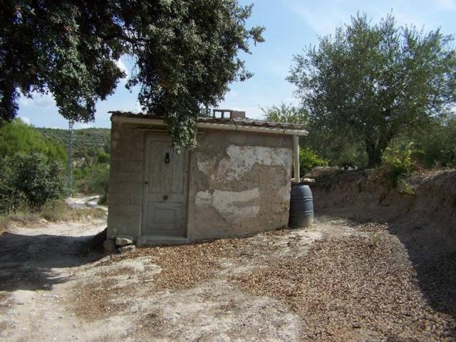 Terrerno Agrícola de 2ª mano en venta photo 0