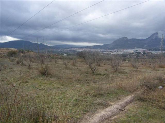 Terreno Rustico de 2ª mano en venta photo 0