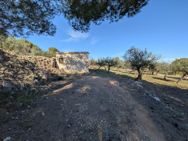 Casa de campo en venta en Cocentaina photo 0