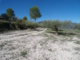 Venta de terreno en Cocentaina photo 0