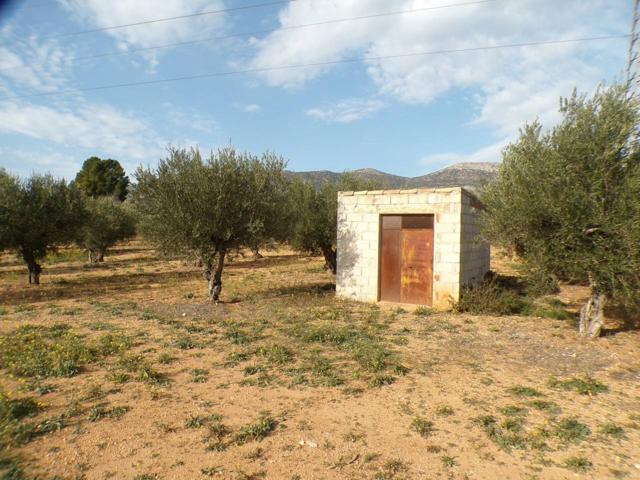 Venta de refugio agrícola en Muro de Alcoy photo 0