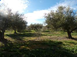 Venta de terreno, con agua potable en Benimarfull photo 0