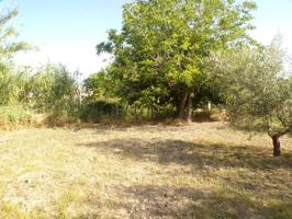Venta de terreno de regadío en Cocentaina photo 0