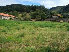 Terreno en venta en San Martín de Toranzo photo 0