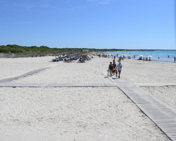 Mallorca, Sa Rapità, Es Trenc, magníficos pisos nuevos, de lujo, de diseño y eco-responsables. photo 0