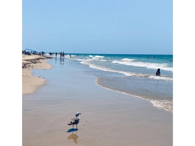 ¡¡¡PRECIOSO PISO-DÚPLEX DE TRES DORMITORIOS EN COSTA BALLENA!!! photo 0