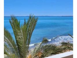 Primera línea de mar en Torrevieja photo 0