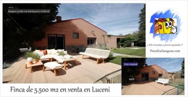 ¿ Buscas una finca rústica grande con una vivienda en Luceni ? photo 0