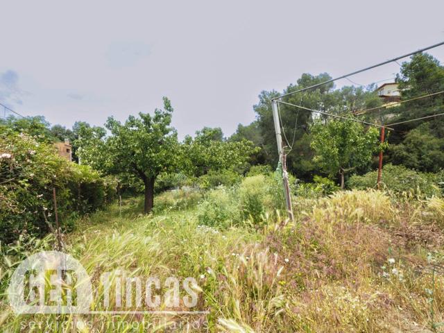 Totalmente llano Ideal para tu próximo proyecto photo 0
