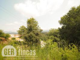 ¡Construye la casa de tus sueños en plena naturaleza! photo 0