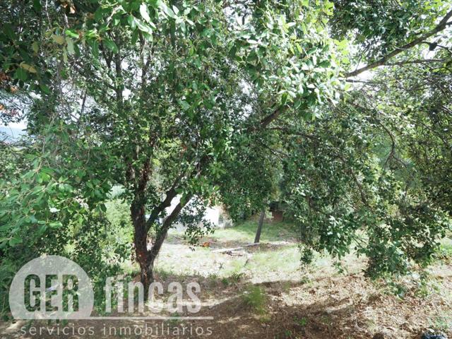 ¡Construye la casa de tus sueños en plena naturaleza! photo 0