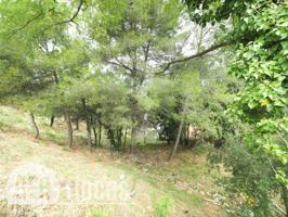 2 terrenos edificables en plena naturaleza photo 0