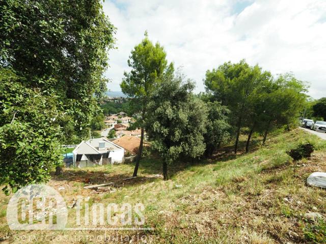 2 terrenos edificables en plena naturaleza photo 0