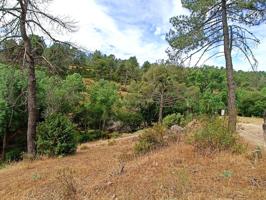 Terreno urbanizable más de 5.000 m2 en Santa María de la Alameda photo 0