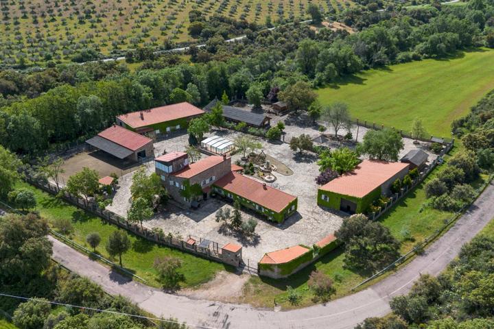 Encanto rural en los Montes de Toledo photo 0