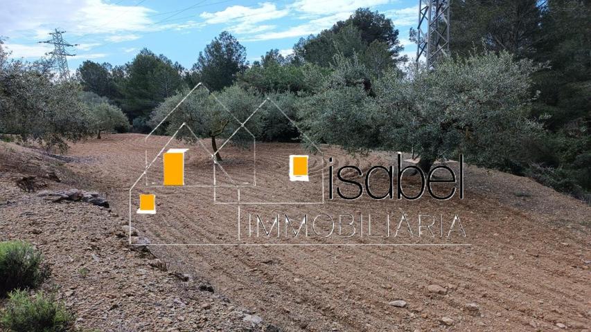 TERRENO URBANO EN PARTIDA SERRES DE CASTELLVELL DEL CAMP photo 0