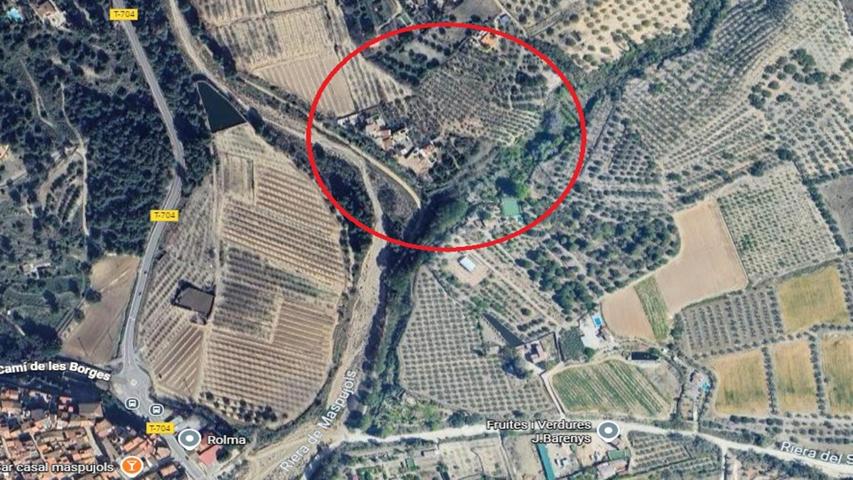 PARCELA AGRÍCOLA DE OLIVOS EN PLENO RENDIMIENTO photo 0