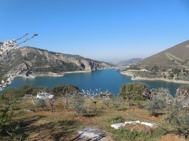 Finca rustica de regadio en venta en Güéjar Sierra photo 0