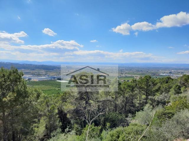 Terreno Urbanizable En venta en Alzira photo 0