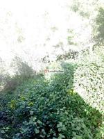 Terreno en venta en BISBAL DEL PENEDÈS, LA de 471 m2 photo 0