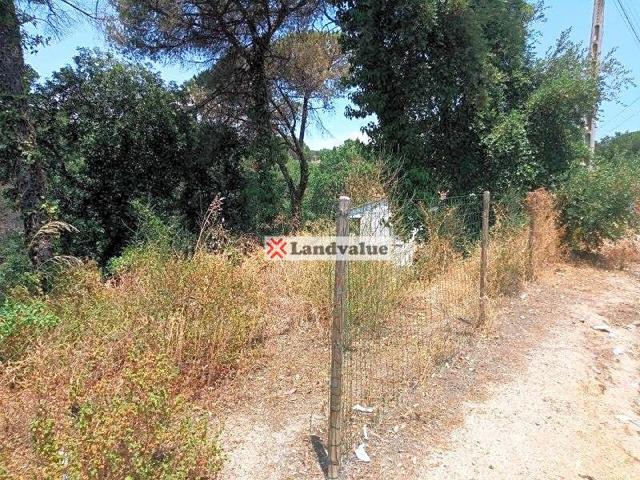 Terreno en venta en DOSRIUS de 963 m2 photo 0