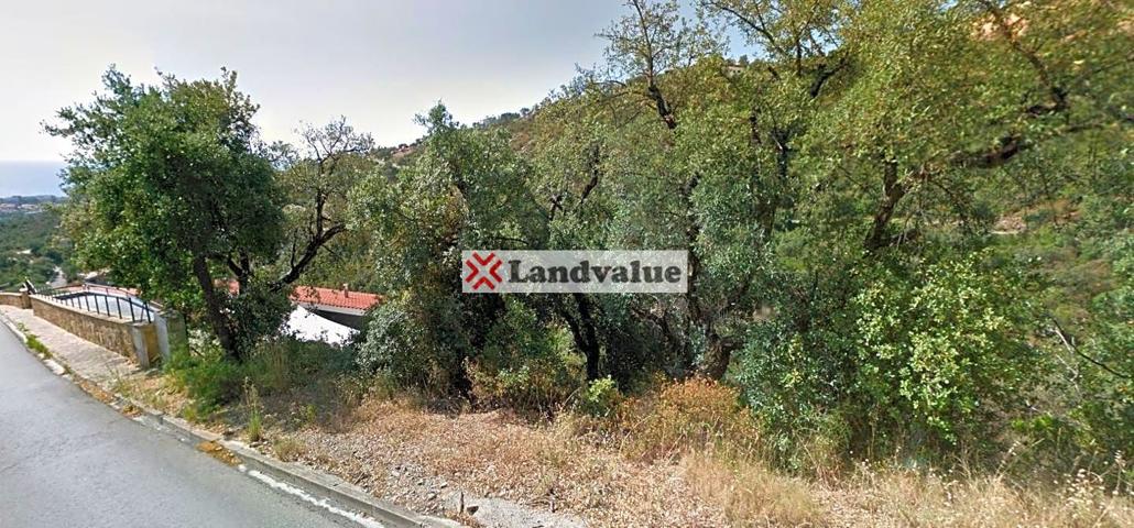 Terreno en venta en CASTELL-PLATJA D&#x27;ARO de 3647 m2 photo 0
