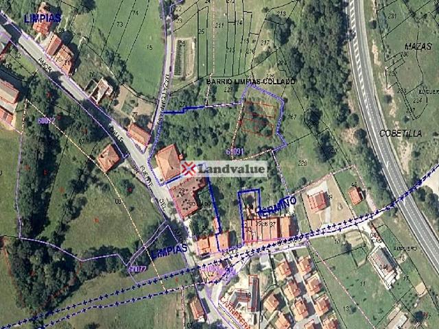 Terreno en venta en LIMPIAS de 7839 m2 photo 0