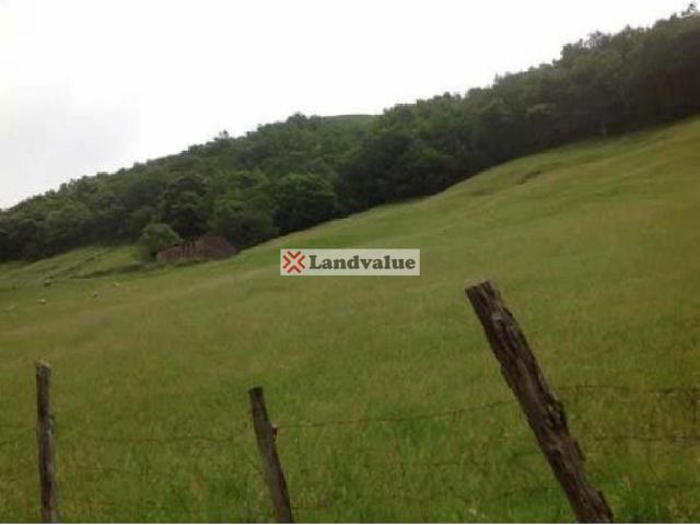 Finca Rústica en venta en VEGA DE PAS de 10141 m2 photo 0