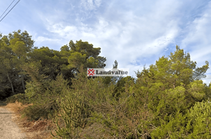 Terreno en venta en Sant Antoni de Portmany de 2086 m2 photo 0