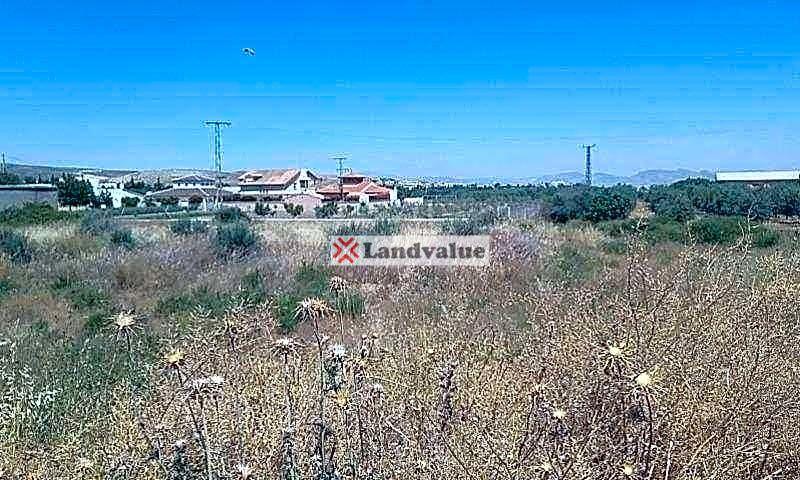Terreno en venta en Alhendín de 4325 m2 photo 0