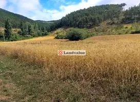 Terreno en venta en Arre de 28969 m2 photo 0