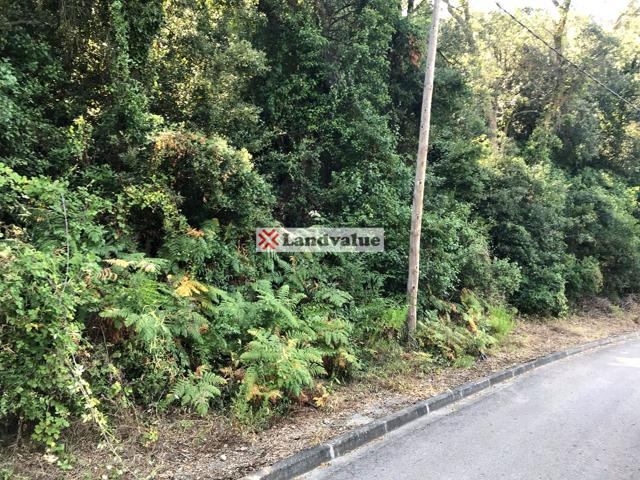 Terreno en venta en CALONGE de 572 m2 photo 0