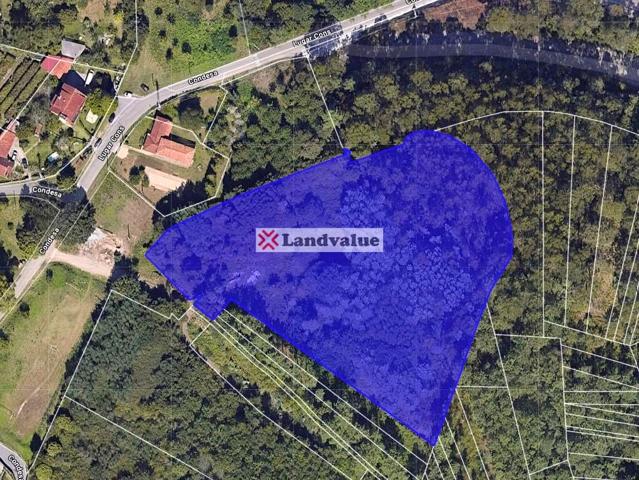 Finca Rústica en venta en Pontevedra de 13269 m2 photo 0