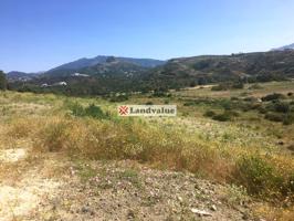 Terreno en venta en Estepona de 15000 m2 photo 0