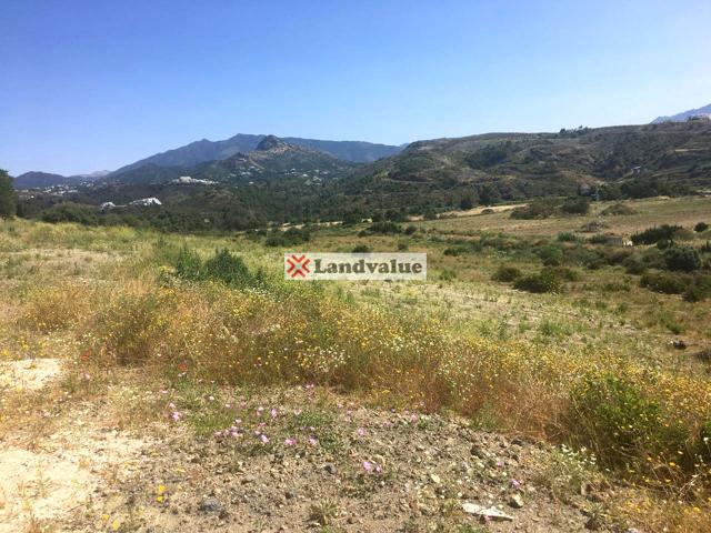 Terreno en venta en Estepona de 15000 m2 photo 0