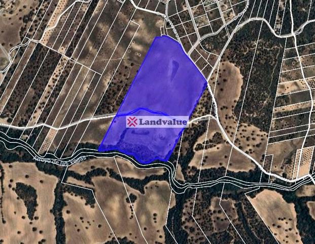 Finca Rústica en venta en SANTA CRUZ DEL RETAMAR de 150000 m2 photo 0