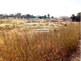 Terreno en venta en SANLÚCAR DE BARRAMEDA de 12172 m2 photo 0
