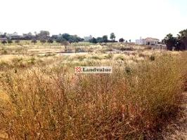 Terreno en venta en SANLÚCAR DE BARRAMEDA de 12172 m2 photo 0
