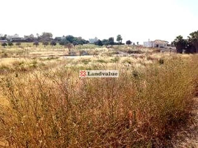 Terreno en venta en SANLÚCAR DE BARRAMEDA de 12172 m2 photo 0
