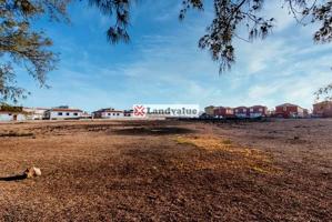 Terreno en venta en Antigua de 8705 m2 photo 0
