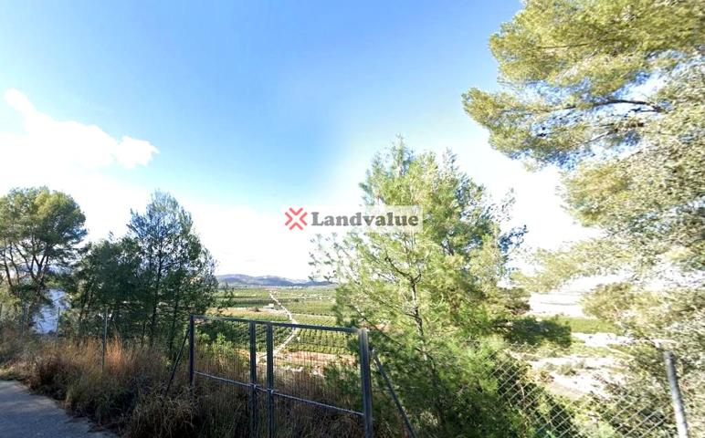 Terreno en venta en PEGO de 4808 m2 photo 0