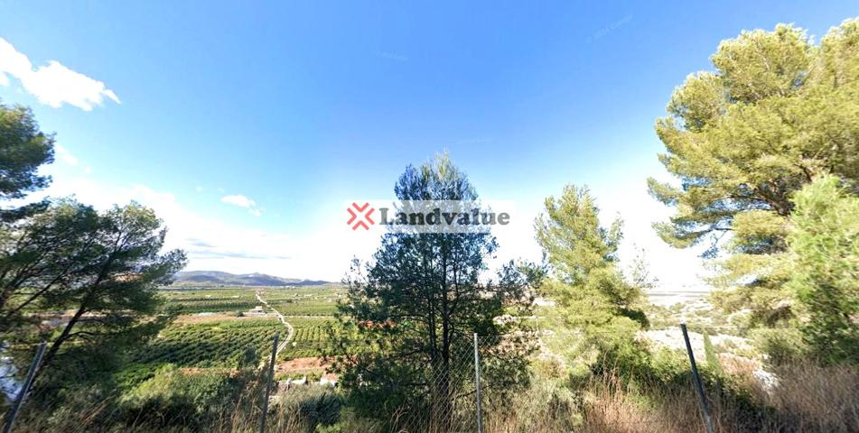 Terreno en venta en PEGO de 4808 m2 photo 0