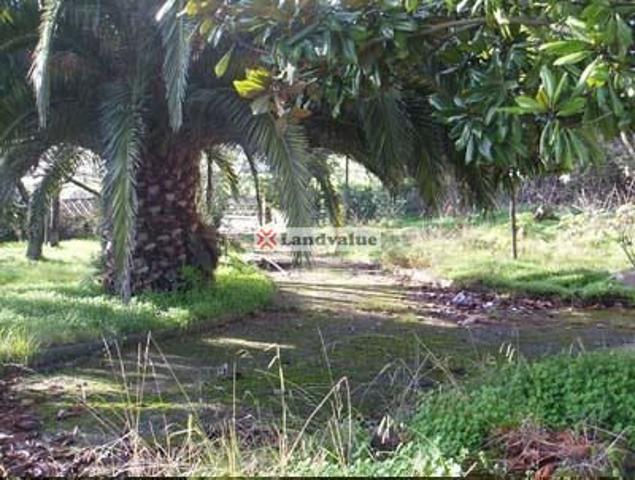 Terreno en venta en Avilés de 1924 m2 photo 0