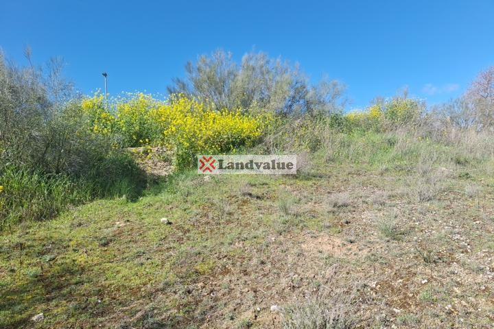 Terreno en venta en Aranjuez de 1544 m2 photo 0