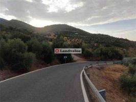 Finca Rústica en venta en Algodonales de 46000 m2 photo 0