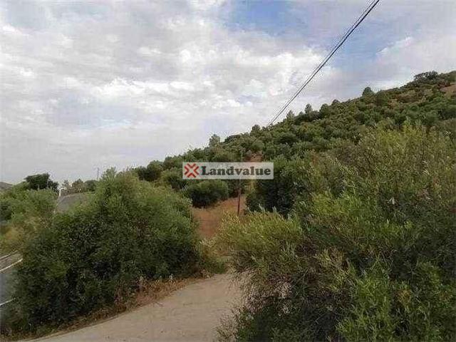 Finca Rústica en venta en Algodonales de 46000 m2 photo 0