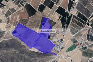 Finca Rústica en venta en Jumilla de 340885 m2 photo 0