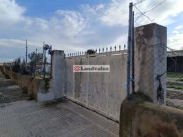 Terreno en venta en Palma de 3000 m2 photo 0