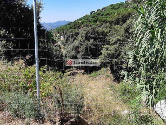 Terreno en venta en Dosrius de 10729 m2 photo 0